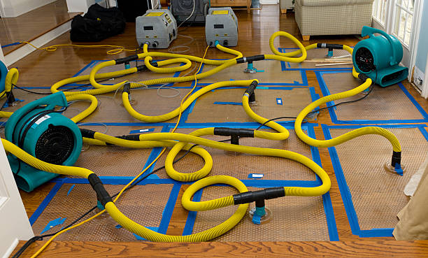 Professional Sewage Cleanup technician working in Paradise, TX